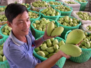 ngành nông nghiệp An Giang